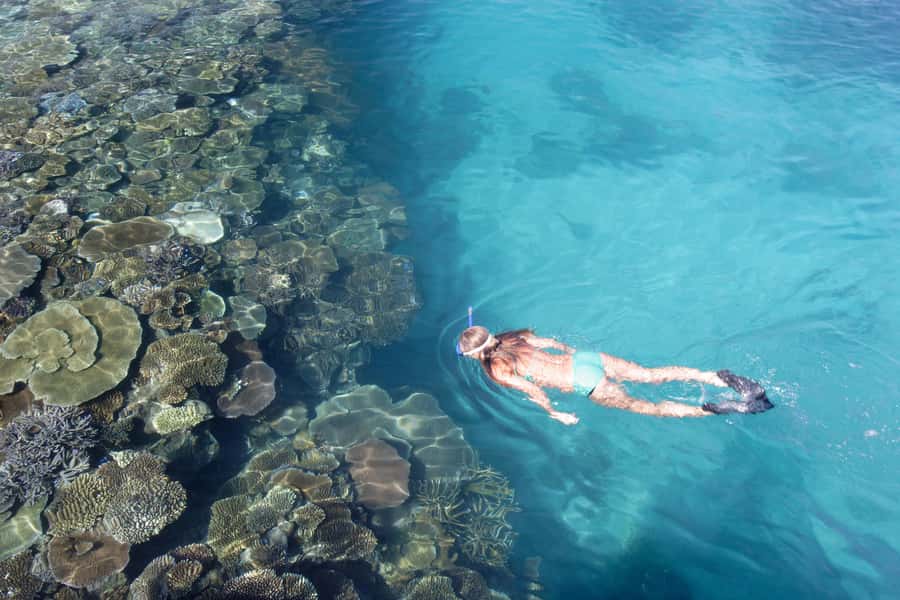 Fiji: South Sea Island Combo Half Day Trip Lunch & Drinks - Why South Sea Island works for a short Fiji day