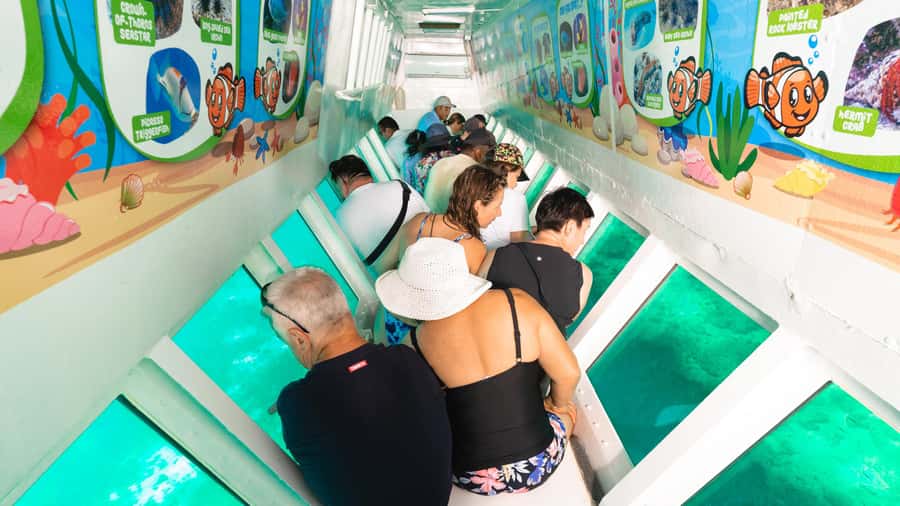 Fiji: South Sea Island Finding Nemo ex Port Denarau - Hotel transfers and the Port Denarau start