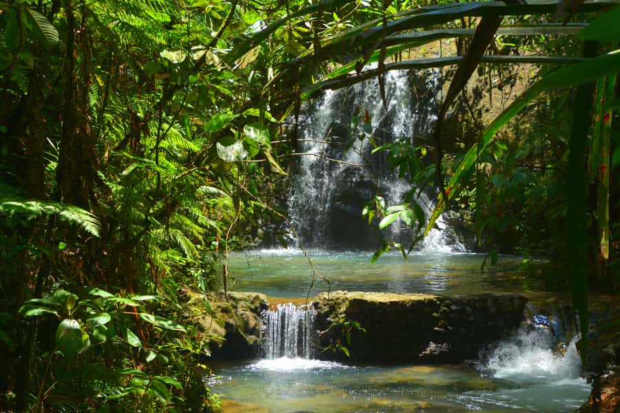 Fiji: Suva Village Tour - How the $88 price works for you