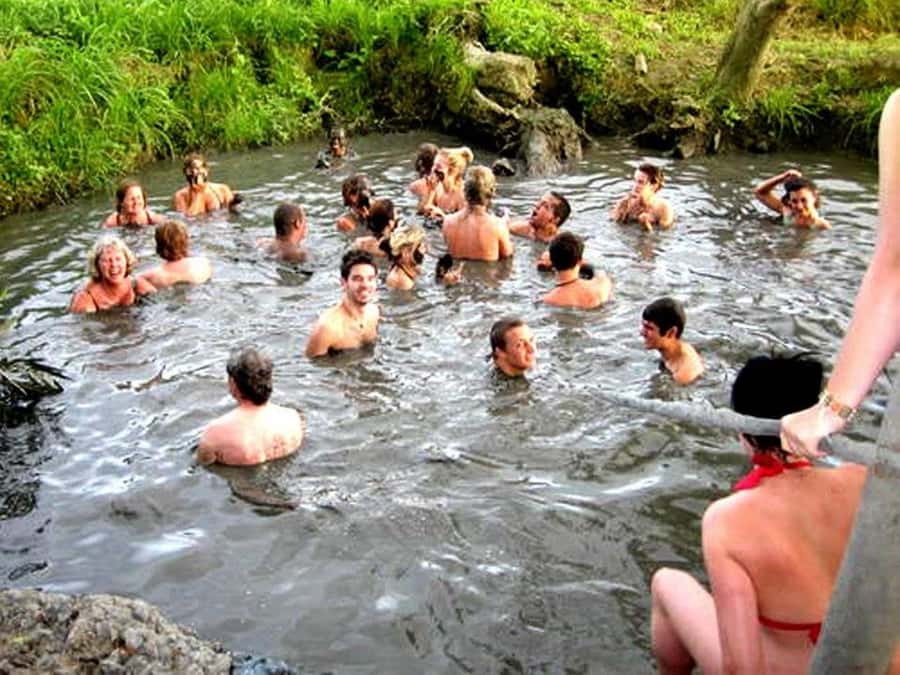 Fiji: Tifajek Mud Pool & Hotspring Tours & Tickets - Applying the Tifajek mud wrap