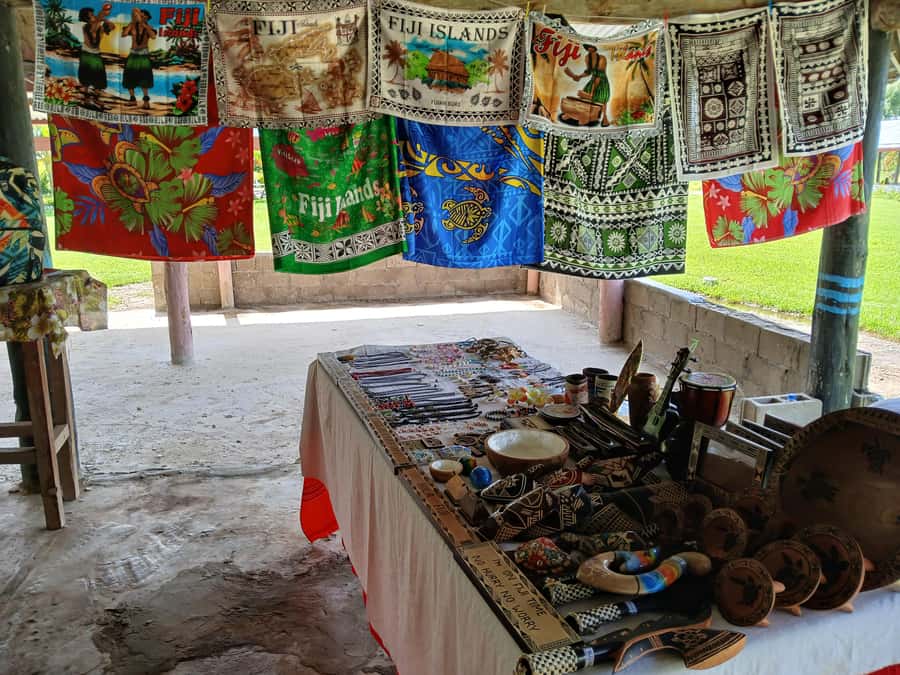 Fiji: Tifajek Mud Pool & Hotspring Tours & Tickets - Washing off in the mud pool