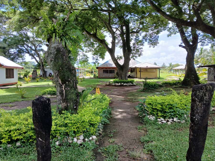 Fiji: Tifajek Mud Pool & Hotspring Tours & Tickets - Adding a traditional Fijian massage