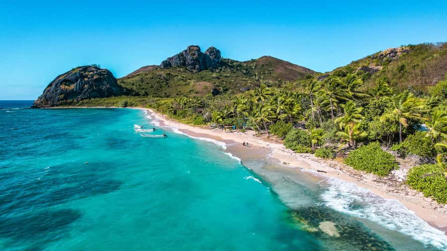 Fiji: Ultimate Encounters Snorkel with Sharks and Lunch - Who will enjoy this Fiji day trip?