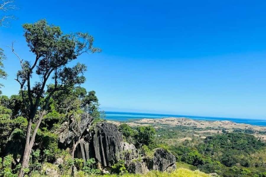 Fiji: Zipline Adventure and Cave Exploration - Who will enjoy this Fiji adventure most