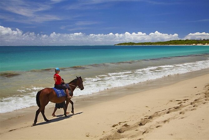Fijian pottery crafting Village Experience & Natadola Beach Tour - Practical planning for a smoother day