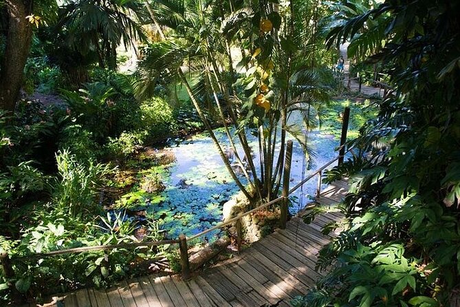Full Day Discover Nadi Tour ( From Sigatoka Coral coast Hotels ) - The road time is the main cost of the route