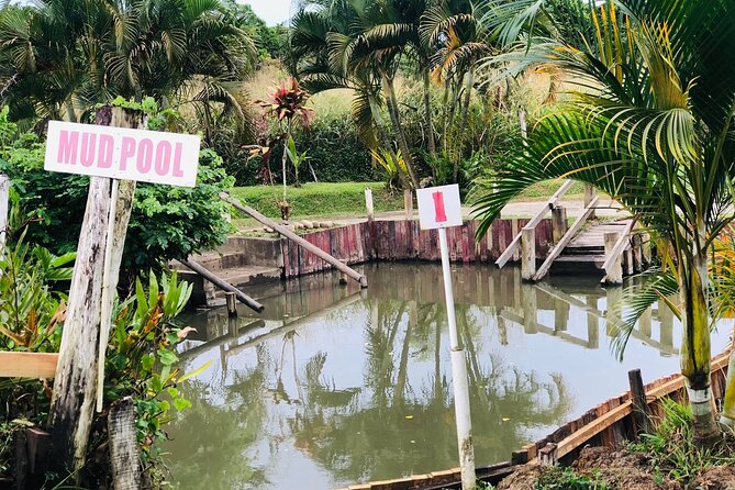 Garden Of Sleeping Giant ,Mudpool &Temple Tour From Coral Coast - What the $56.44 price really covers