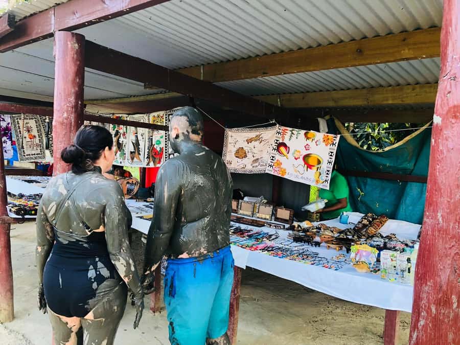 Garden of Sleeping Giant with Sabeto Hotspring Mudpool Tour - Key points to know before you book
