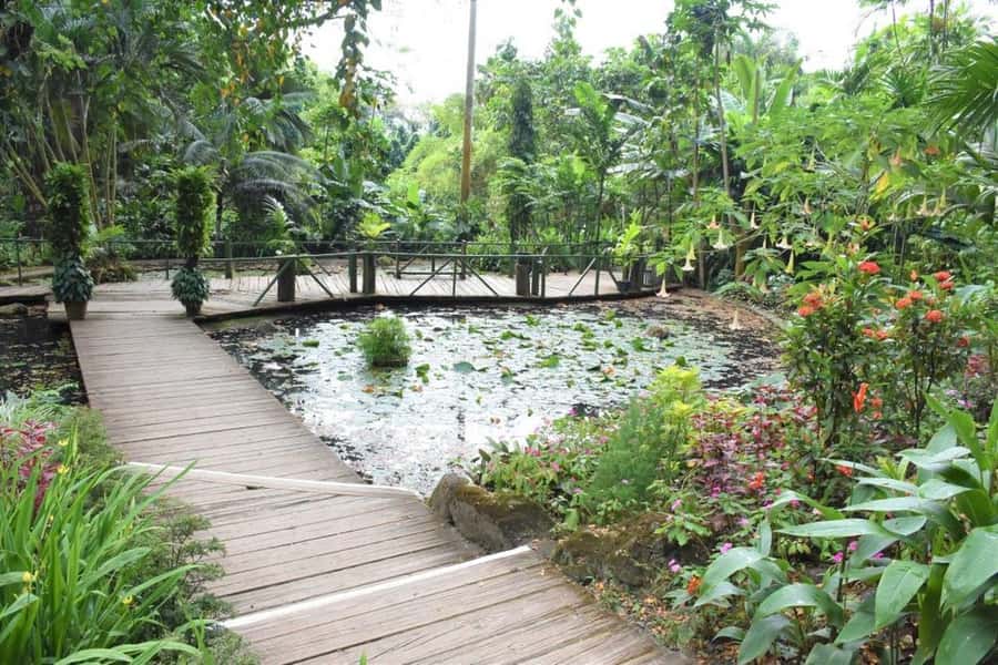 Garden of Sleeping Giant with Sabeto Hotspring Mudpool Tour - From Nadi hotels to the Sabeto Valley