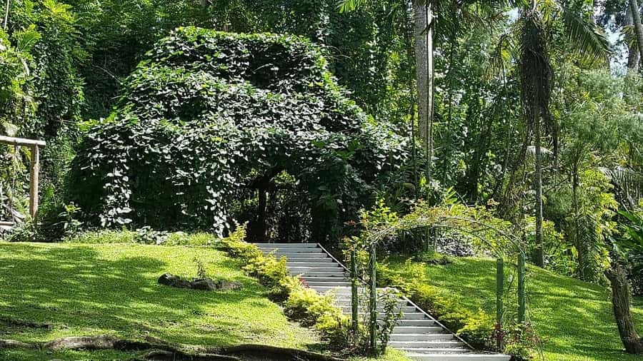Garden of Sleeping Giant with Sabeto Hotspring Mudpool Tour - Who will enjoy this Fiji outing