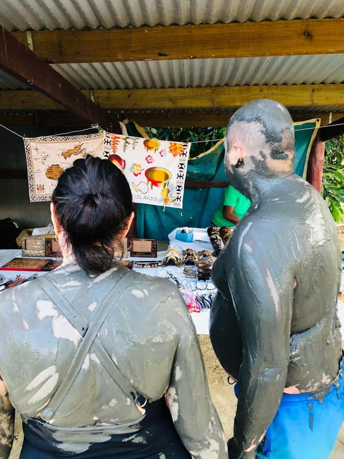 Garden of Sleeping Giant with Sabeto Hotspring Mudpool Tour - Should you book the Garden and Sabeto tour?