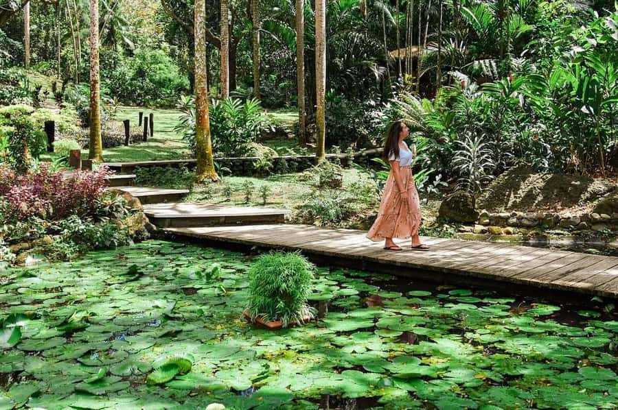 Garden of Sleeping Giant with Tifajek Mudpool Hotspring Tour - What makes Tifajek different from a regular hot spring