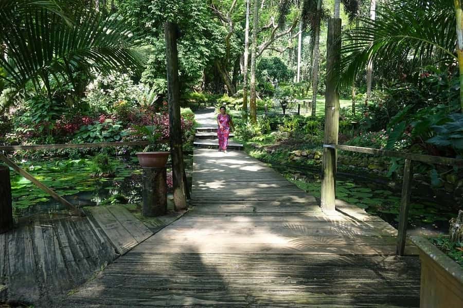 Garden of Sleeping Giant with Tifajek Mudpool Hotspring Tour - My call: book it for the combination, not the transfer speed