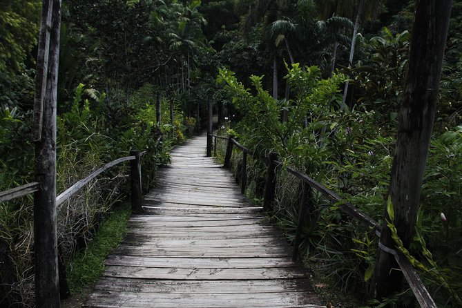 garden of the sleeping giant and mudpool tour combo - Why pair the Garden of the Sleeping Giant with Sabeto