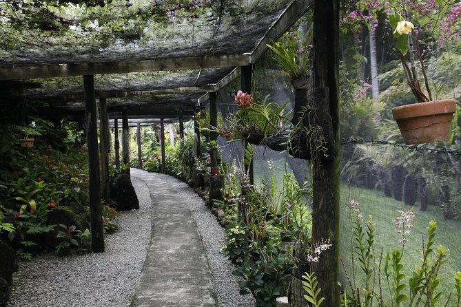 garden of the sleeping giant and mudpool tour combo - Walking through the Garden of the Sleeping Giant