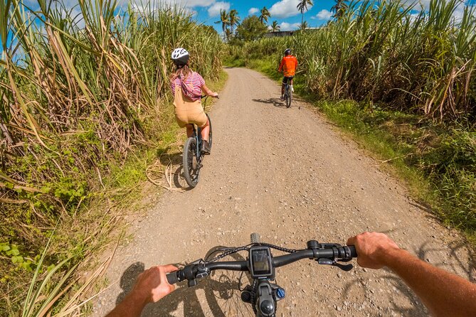 Guided E-bike Tour - E-bikes help, but they do not do all the work