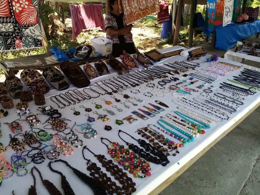 Guided Lautoka Shore Excursions - Timing, comfort, and the small details that matter