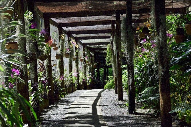 Half Day Mudpools, Veseisei Fijian Village, Gardens of Sleeping Giants &Shopping - Booking and cancellation details to know