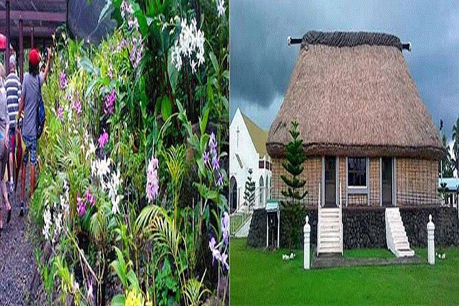 Half Day Nadi Tour incls Sri Siva Temple, Orchid Gardens,Local Village & Markets - Why this is a useful first look at Nadi