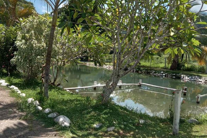 Half Day Nadi Tour Temple, Market, Gardens and Mud Pools - A smart option for a long airport layover