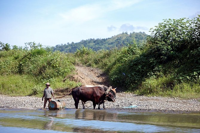 Half Day Sigatoka River Jetboat & Village Tour with Lunch & Transfers - Meeting a Fijian village