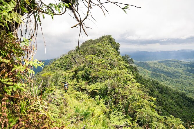 Hiking Adventure including Fiji's Highest Mountain and 3 Nights - Key points at a glance