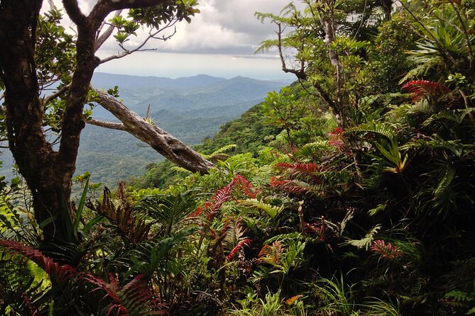 Hiking Adventure including Fiji's Highest Mountain and 3 Nights - Day 1: From Nadi to Navai by 4WD