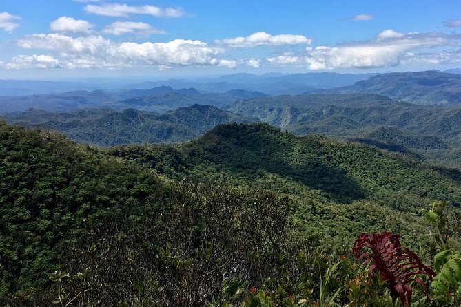 Hiking Adventure including Fiji's Highest Mountain and 3 Nights - Day 2: Mount Tomanivi before the heat