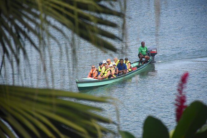 Jewel Of Fiji Day Tour from The Marriot & Shangri-La Resort - A 45-minute cruise up the Navua River
