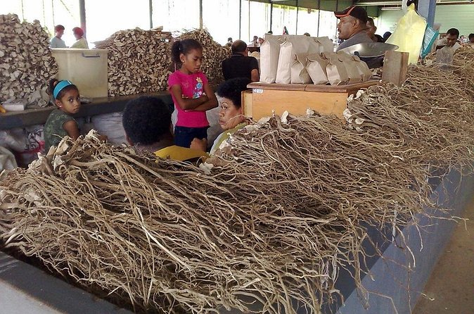 Kava Factory Tour and Flavored Kava Tasting Experience - Who Should Book This Experience?