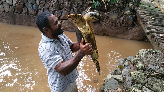 Kiara Package tour - Customs, rituals, plants, and animals