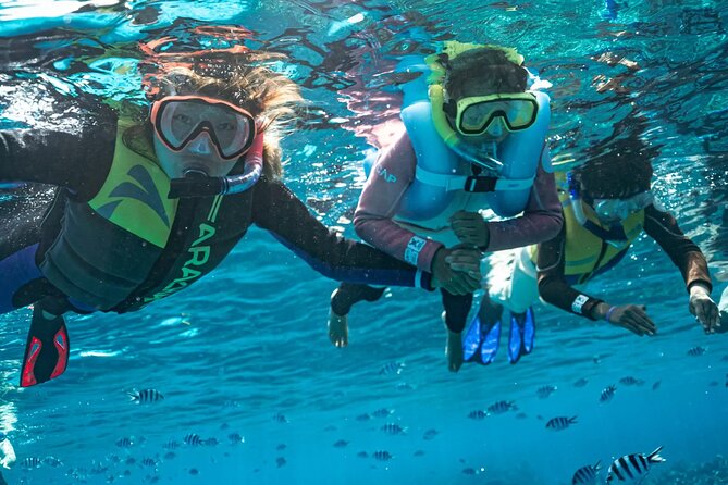 Kuata Island Marine Conservation Experience with Lunch - The morning run from Port Denarau
