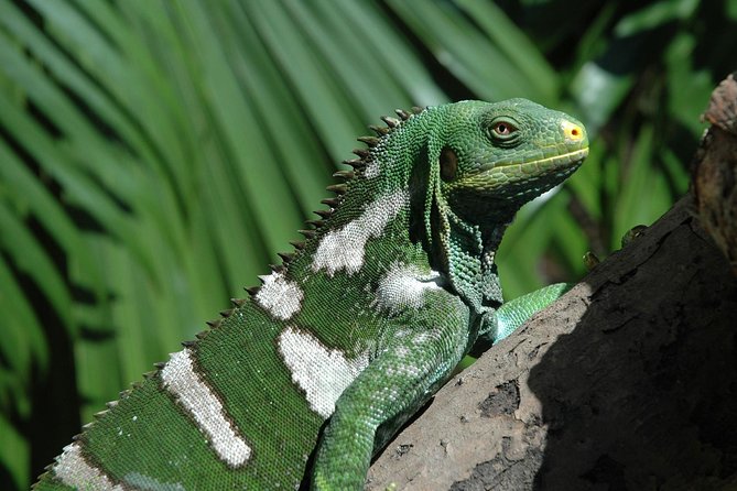 Kula Eco Park Admission - Starting at the Land and Sea Building