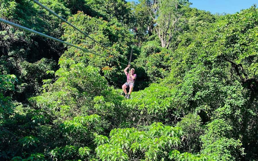 Largest Zipline & Cave Exploration from sigatoka coral coast - Is $115 a fair price?