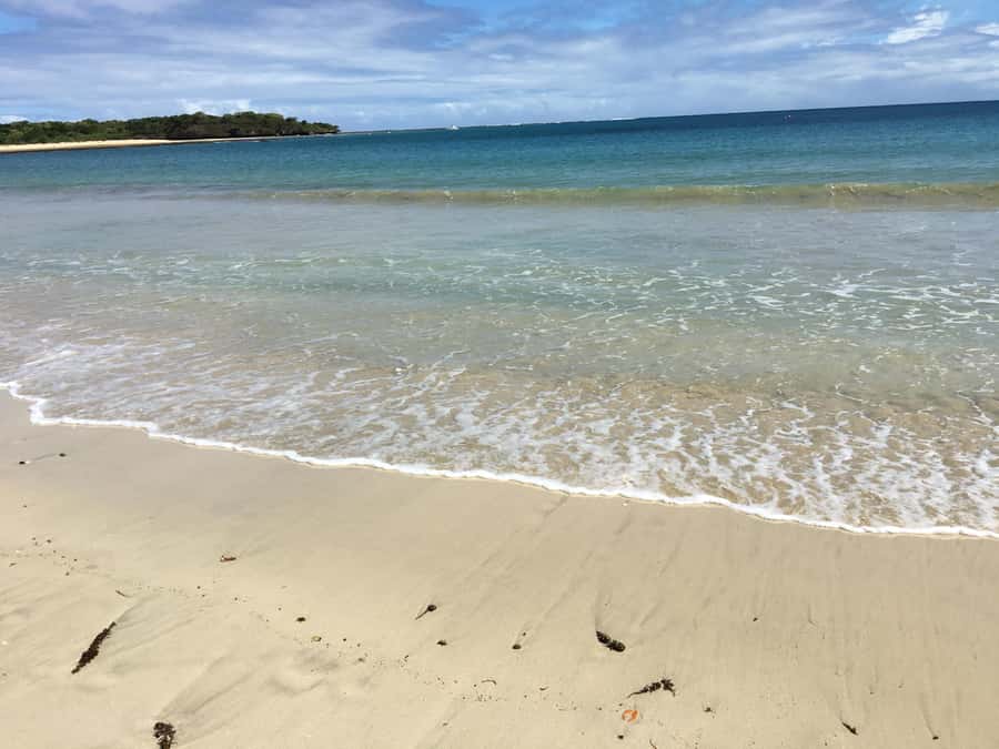 Lautoka Cruise Ship to Natadola Beach Round Trip - The drive through Lautoka, Nadi, and Sigatoka