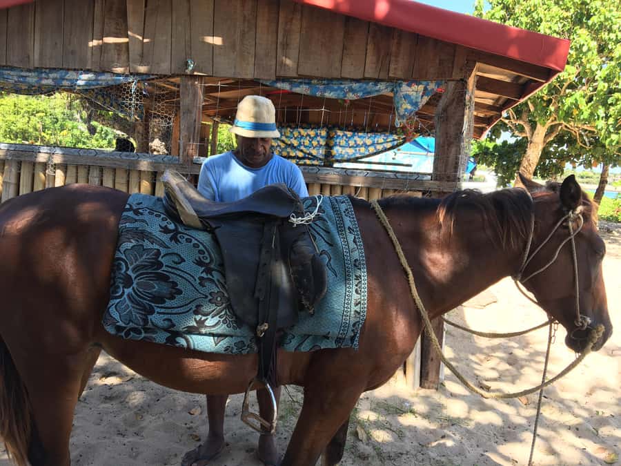 Lautoka Cruise Ship to Natadola Beach Round Trip - Massages and horse riding cost extra