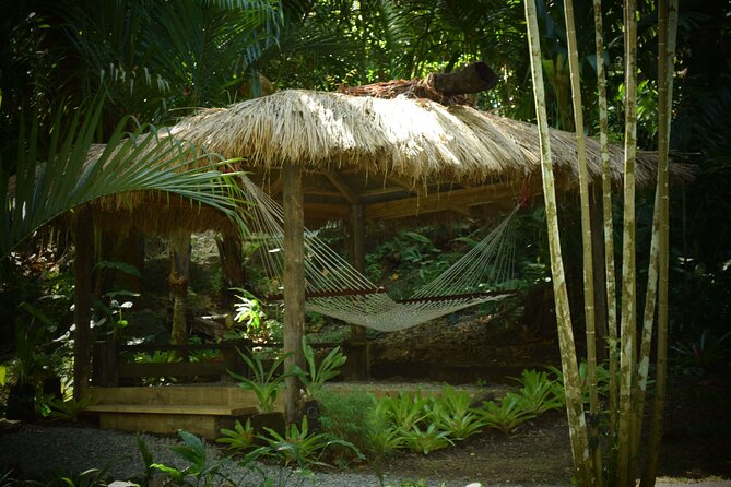 Mud Pools, Gardens, Markets, Temple & Shopping-Nadi Tour half day - Nadi produce markets: start with everyday Fiji