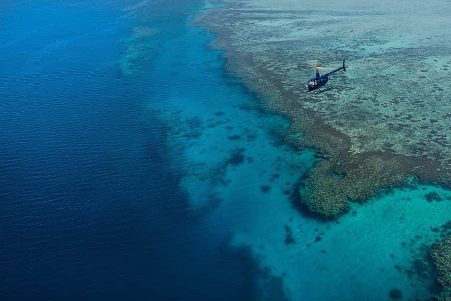 Nadi: 25 minutes Mamanuca Island Tour - Heart Island from the window seat