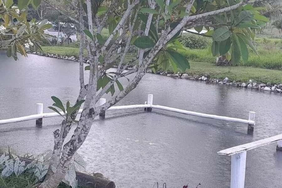 Nadi: Garden Village Hot Spring & Temple Highlights Tour - Garden of the Sleeping Giant and its orchid collection