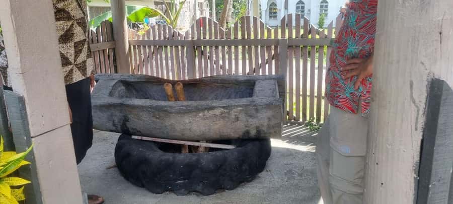 Nadi: Garden Village Hot Spring & Temple Highlights Tour - Transport, timing, and the value of six hours