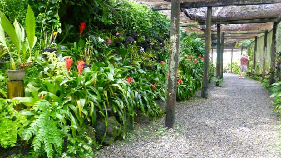 Nadi: Garden Village Hot Spring & Temple Highlights Tour - Is $75 a fair price?