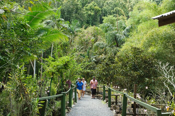 Nadi Heritage Tour - Viseisei and the story of Fiji’s first settlers