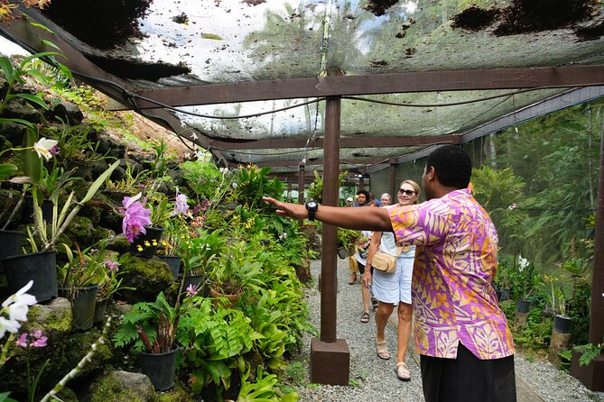 Nadi Heritage Tour - Guides, timing, and what to clarify