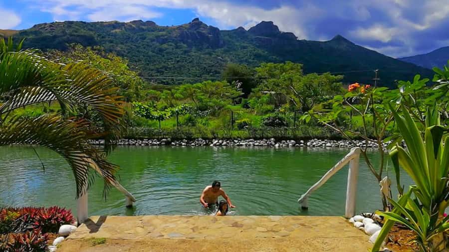 Nadi: Mud Pool and Hot Spring Private Tour - Getting covered in warm mineral mud