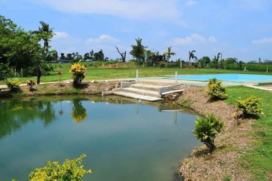 Nadi: Mud Pool and Hot Spring Private Tour - Two quiet hours at Sabeto Hot Spring Mud Pool and Tours