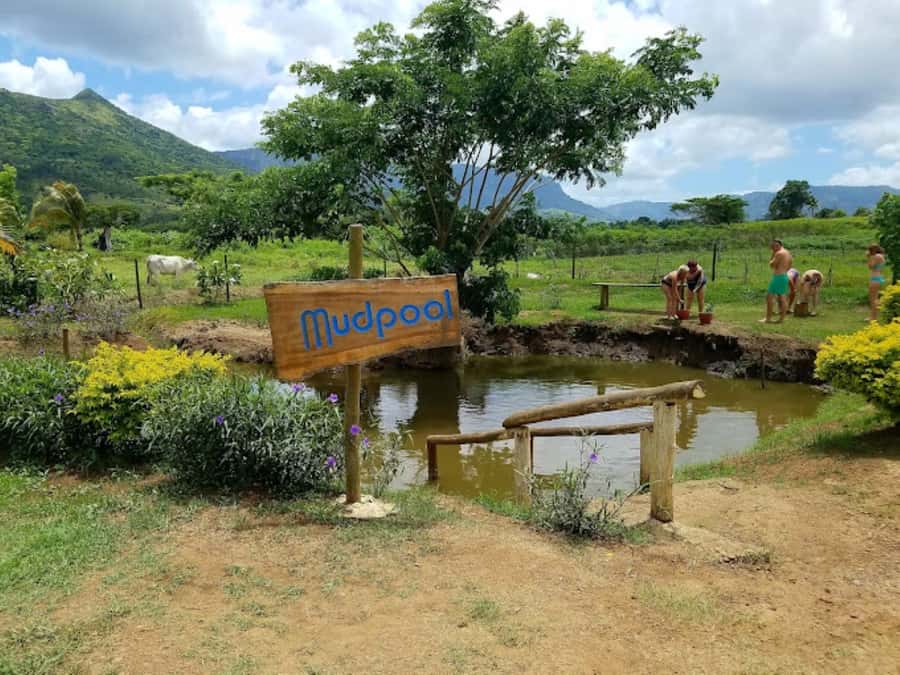 Nadi: Mud Pool and Hot Spring Private Tour - Adding a massage for deeper relaxation