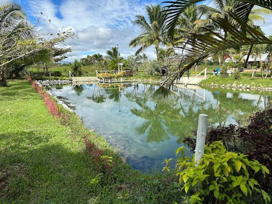 Nadi: Mud Pool and Hot Spring Private Tour - The drive from Nadi to Sleeping Giant Mountain