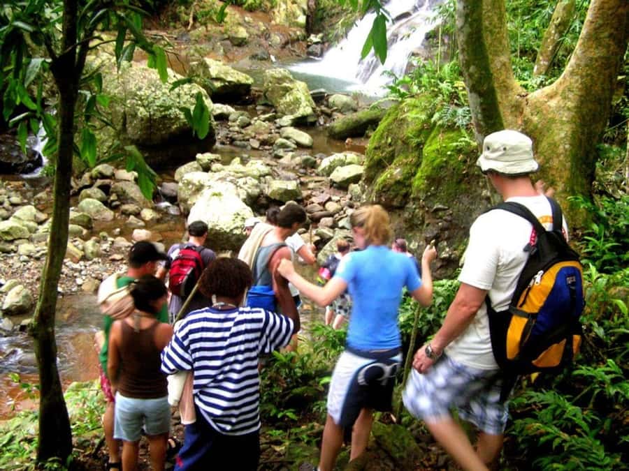 NADI: Nalesutale Village Half Day Tour - Key points to know before booking