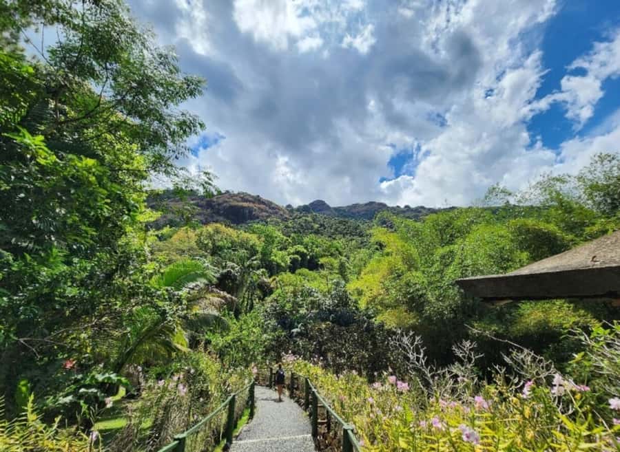 Nadi: Private Tour with Temple, Garden, Markets & Mud Pools - Orchids at the Garden of the Sleeping Giant