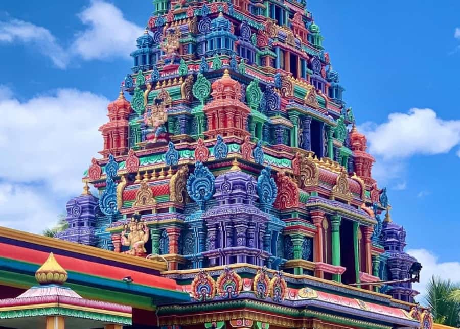 Nadi: Private Tour with Temple, Garden, Markets & Mud Pools - The $115 Price and What It Covers